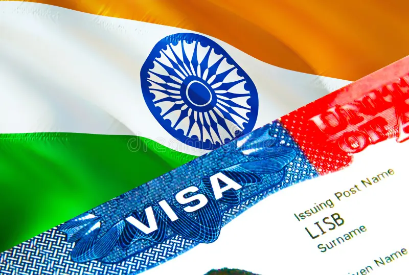 India E-Visa Tips
