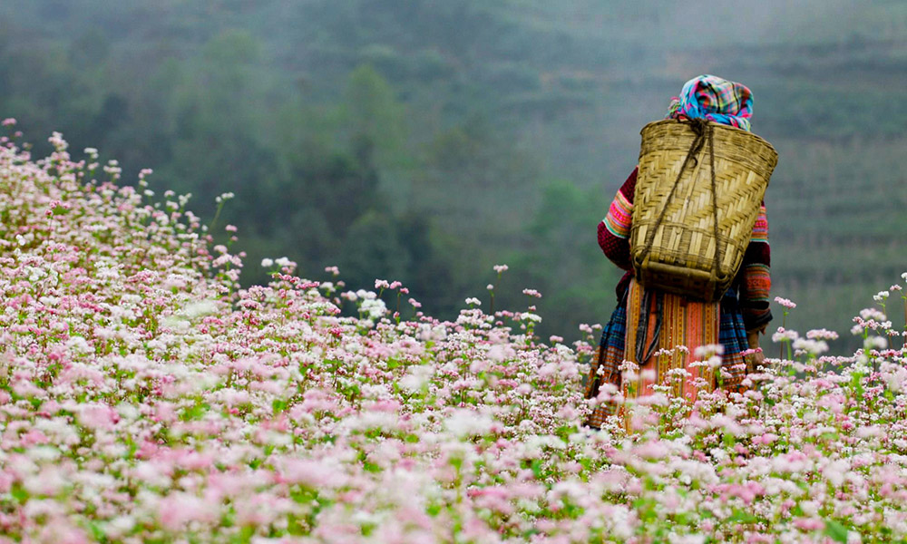 Ha Giang Tourism